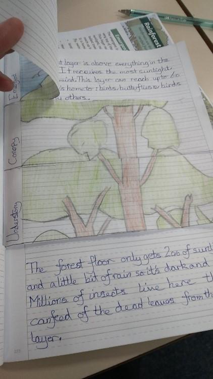 Biomes 2